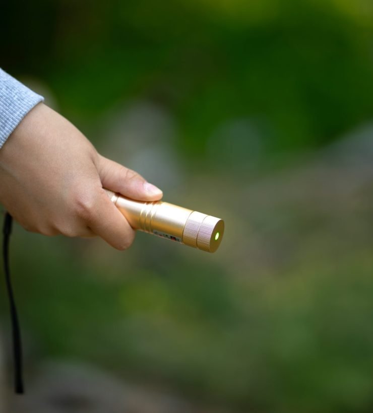 The,Child,Shines,With,A,Laser,Pointer,With,A,Green